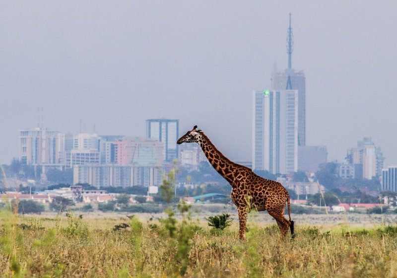 Nairobi National Park