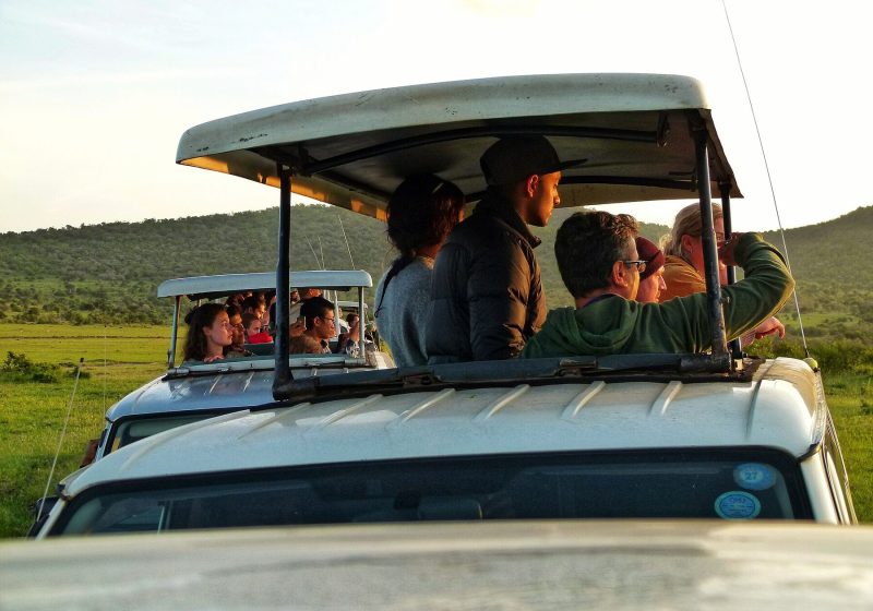 Safari vehicle