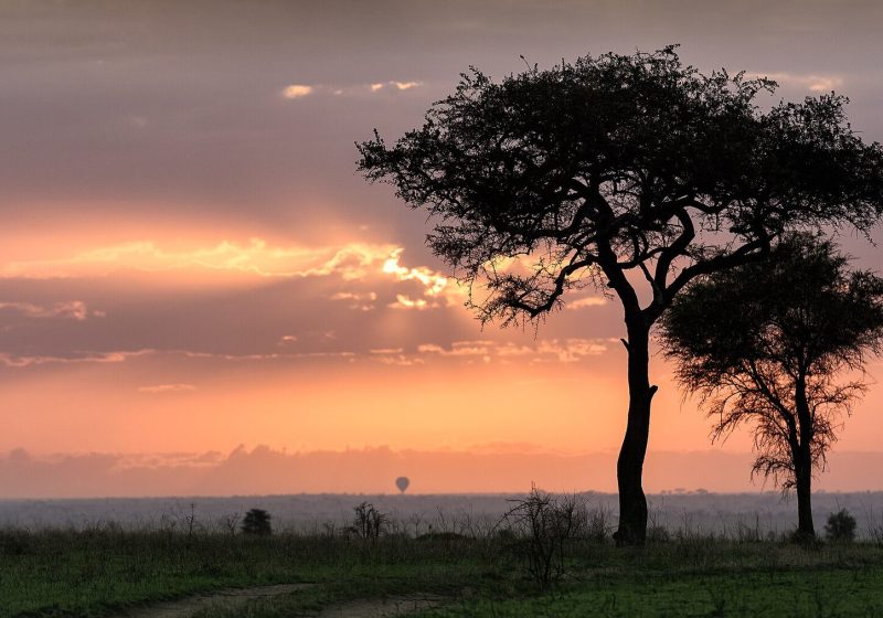Serengeti